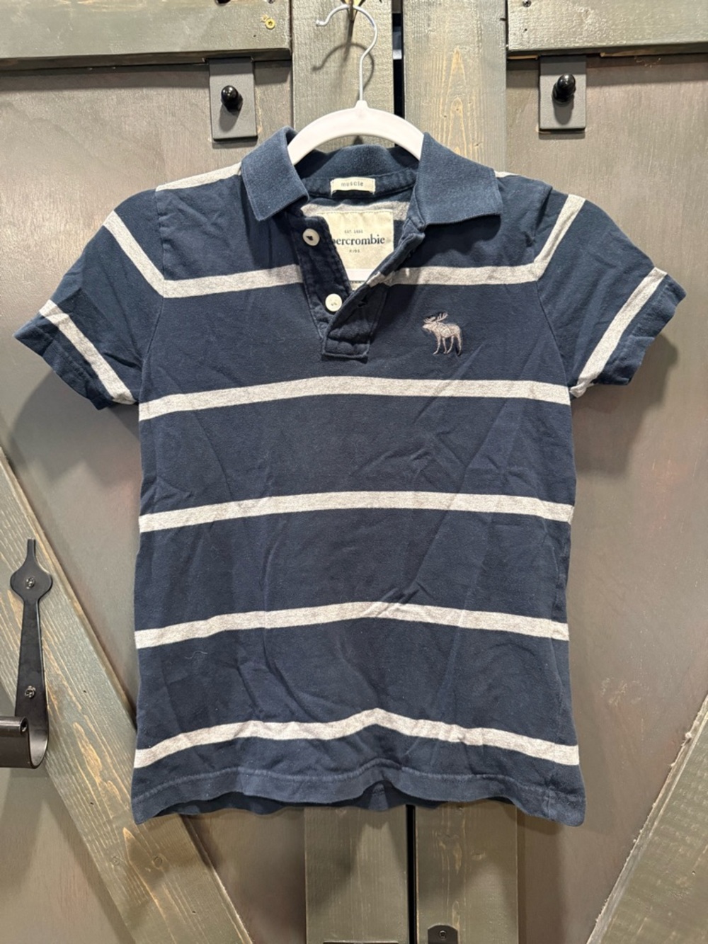 Abercrombie & Fitch Boys Navy and White Striped Polo